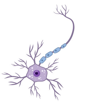 Blue neuron cell. Brain activity and dendrites. Scientific cartoon illustration. Membrane and the nucleus. Microbiology and mind