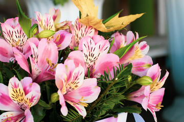 Colorful Alstroemeria flowers. A large bouquet of multi-colored alstroemerias in the flower shop are sold in the form of a gift box.