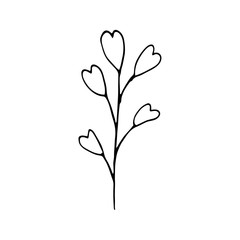 Cute single hand drawn herbal elements. Doodle vector illustration for wedding design, logo and greeting card.