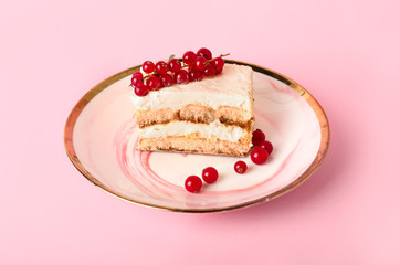 Plate with tasty tiramisu on color background