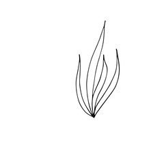 Cute single hand drawn herbal elements. Doodle vector illustration for wedding design, logo and greeting card.