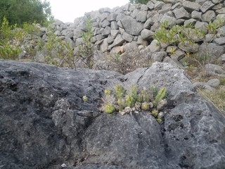Cerco de piedra