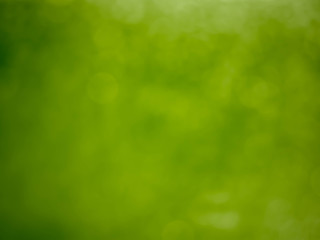 green bokeh lights with soft light background. Blur wall.
