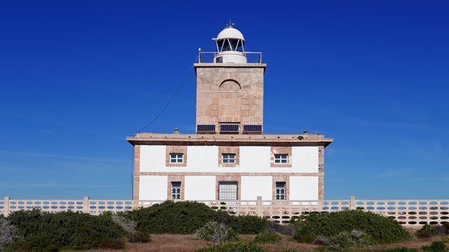 Lighthouse of Tabarca Island surrounded by vegetation under blue sky