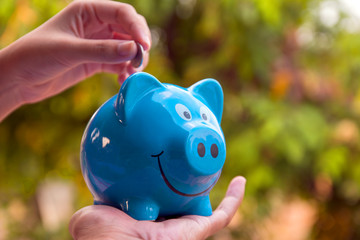 save money concept, piggy save money concept, piggy bank on nature background