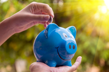 save money concept, piggy save money concept, piggy bank on nature background