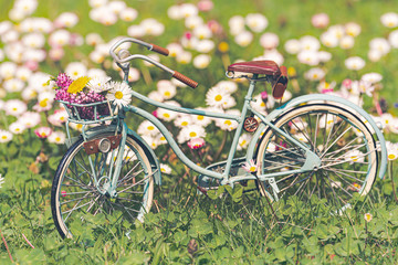 Fototapeta na wymiar bicycle model set in flowery meadow