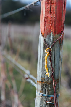 piquet de vigne en bourgogne