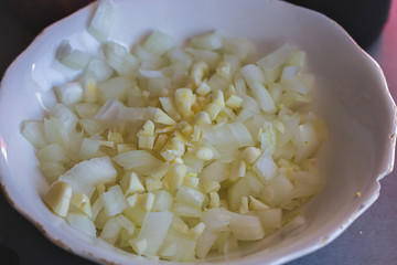 Chopped onion and garlic, healthy food, portugal
