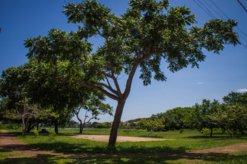 Campo Grande, MS, Brazil - Lagoa Itatiaia -  Urban lake in a big city