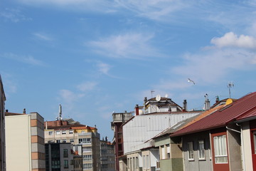Fototapeta na wymiar roof houses in the city
