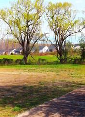 Obraz premium Spring Colors at Housing Community