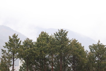 日本の山の景色