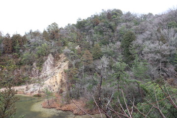 日本の山の景色