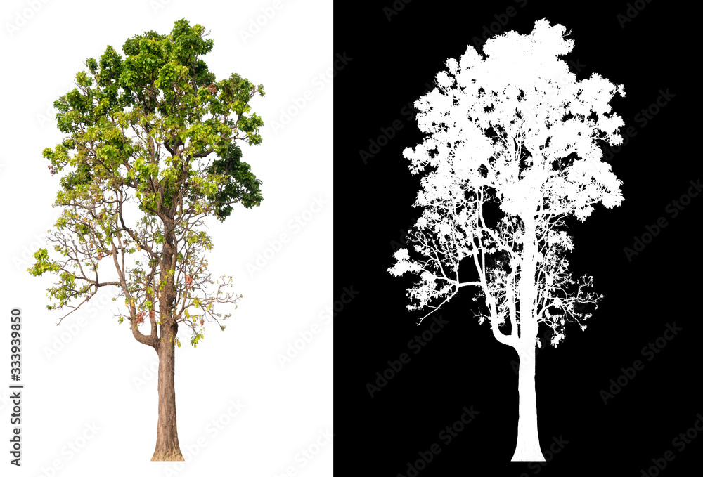 Aufkleber isolated tree on white background with clipping path