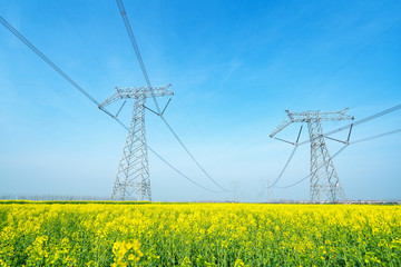 High voltage transmission tower in rape field