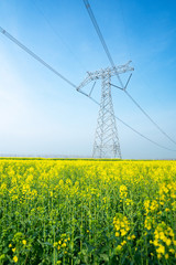 High voltage transmission tower in rape field