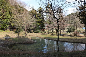 田舎にある池
