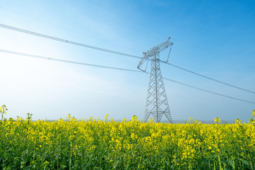 High voltage transmission tower in rape field