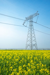 High voltage transmission tower in rape field