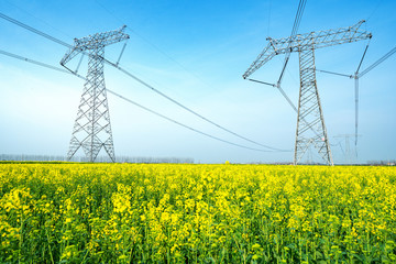 High voltage transmission tower in rape field