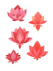 set of flowers lotus