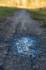 Frozen puddle on the road.