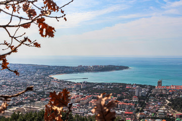 view from the mountains through the foliage on the Bay and the center of the resort city of Gelendzhik. Black sea coast. spring 2020