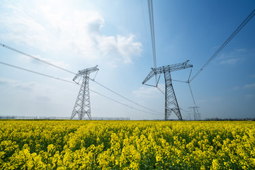 High voltage transmission tower in rape field