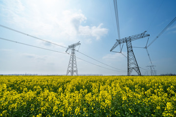 High voltage transmission tower in rape field
