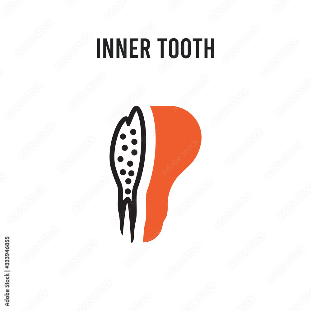 Poster inner tooth vector icon on white background. red and black colored inner tooth icon. simple element 
