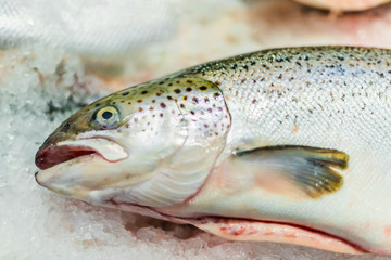 Fish put up for sale at a supermarket stall