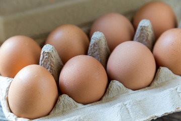  Chicken eggs are in the cooking preparation panel.