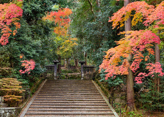 Fototapeta na wymiar Enter to Kyoto temple.