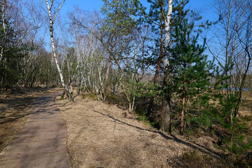 Wanderweg im Venner Moor bei Münster - Hiking trail in the Venner Moor near Münster