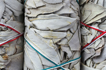White Sage Smudge Sticks Close Up