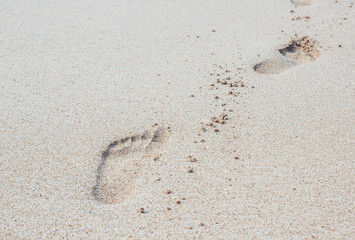 Holiday symbol of quiet rest in attractive areas on the beach, with visible footprints in the sand. Concept for travel vacation - footsteps in sand on summer tropical getaway holidays vacation