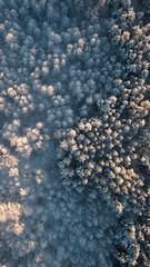 Photo taken from drone snowy frosty Russian forest