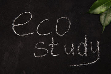 Fototapeta na wymiar Eco Study chalk inscription on black with green leaf. Zero waste school