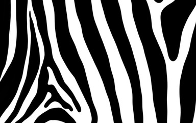 zebra seamless pattern