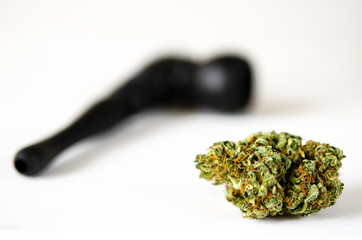 Cannabis flour, flowers and seeds. Marijuana D