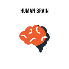 Human Brain vector icon on white background. Red and black colored Human Brain icon. Simple element illustration sign symbol EPS
