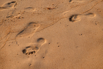 Fototapeta na wymiar Footprints in the sand track, Candolim beach, North Goa, India