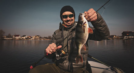 Fishing background. Happy angler with perch fishing trophy. - obrazy, fototapety, plakaty