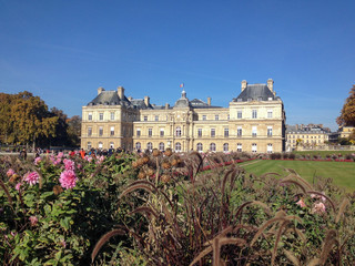 Fototapeta premium Scaux