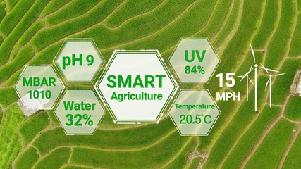 Smart digital agriculture technology by futuristic sensor data collection management by artificial...
