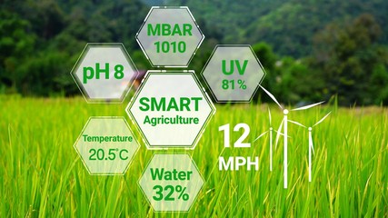 Smart digital agriculture technology by futuristic sensor data collection management by artificial...
