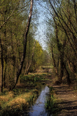 Ruisseau, Châtillon sur Seine, 21, Côte d'Or