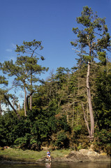 Bénodet, rivière L'Odet, 29, Finistère, Bretagne