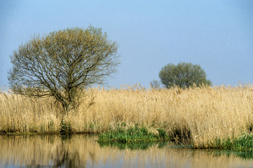 Parc naturel régional de Brière, 44, Loire Atlantique